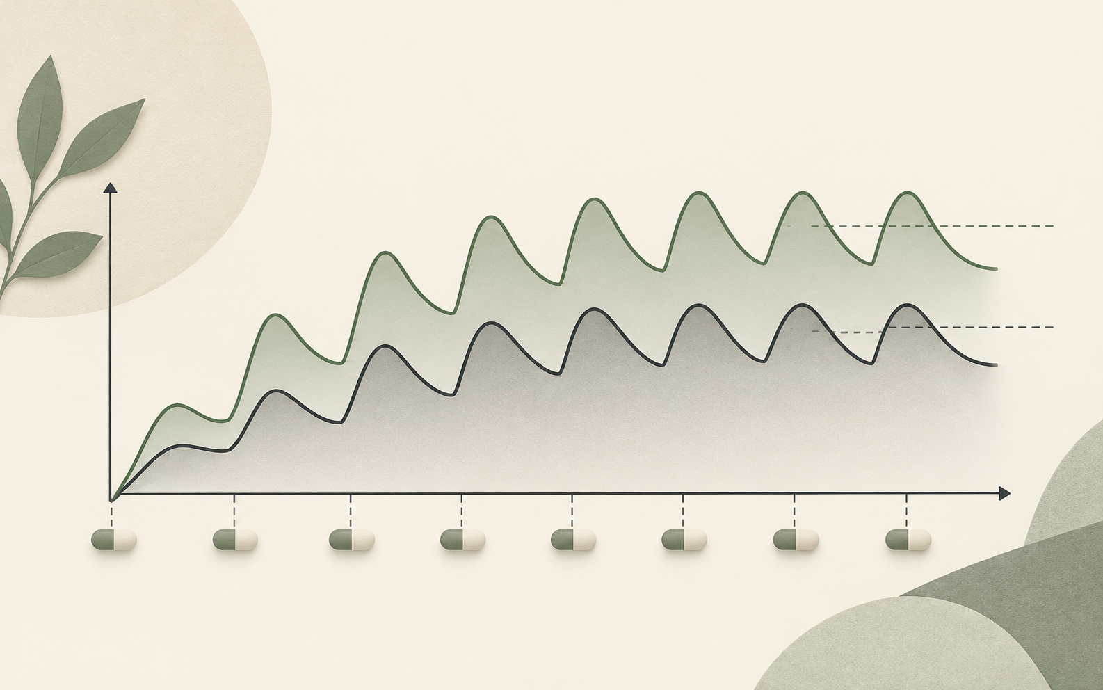 Editorial illustration of medicine doses accumulating into a stable concentration pattern over time